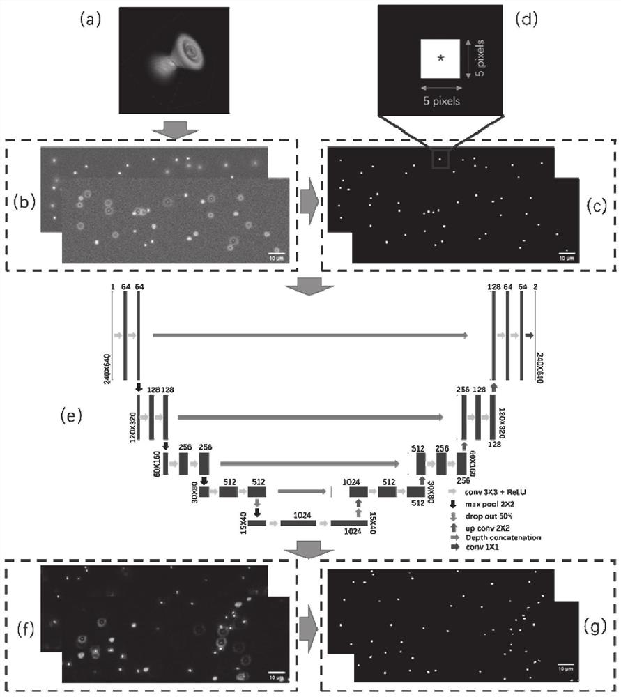 Exosome particle size analysis device and method based on deep learning