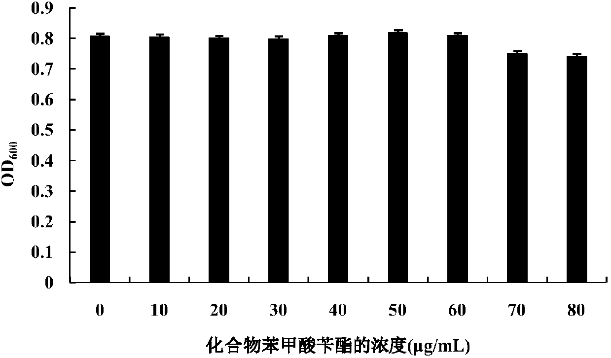 Application of benzyl benzoate in preparation of bacterial colony induction activity inhibitors