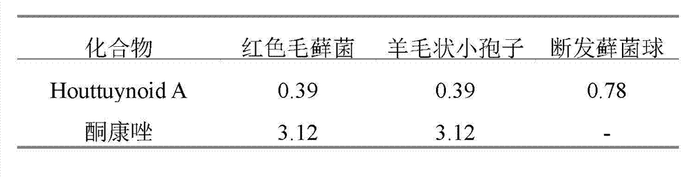 Application of Houttuynoid A in anti-human fungus drugs