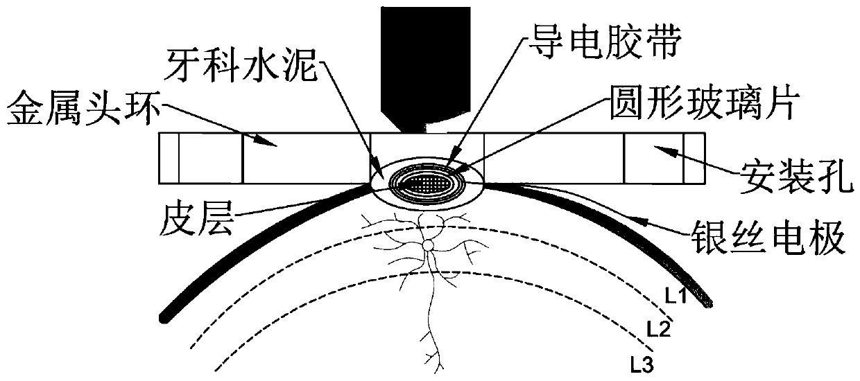 Transcranial electrical stimulating assembly, device, system and application