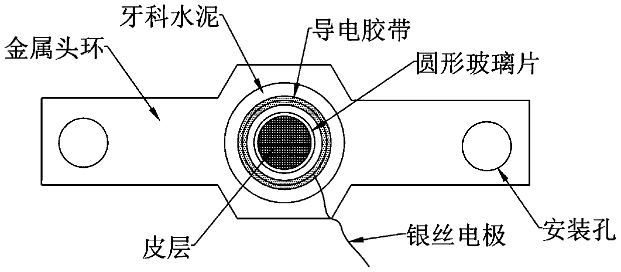 Transcranial electrical stimulating assembly, device, system and application