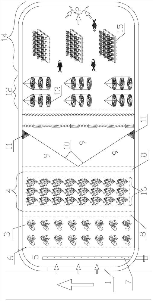 Freshwater aquaculture tail water biological comprehensive purification system