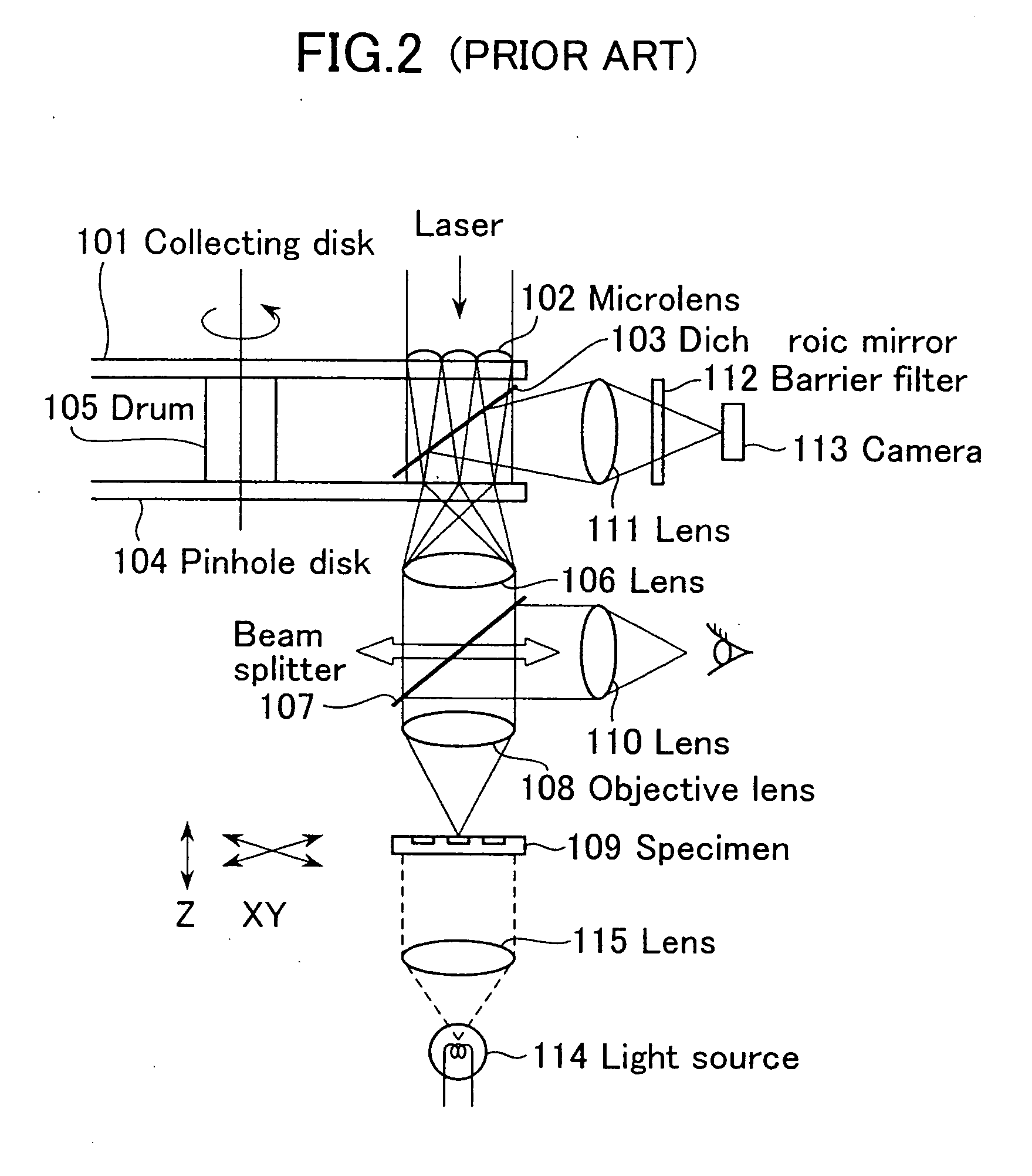 Biochip reader and fluorometric imaging apparatus