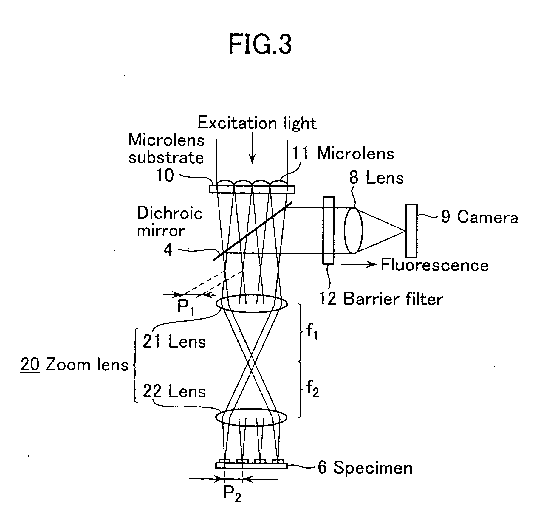 Biochip reader and fluorometric imaging apparatus