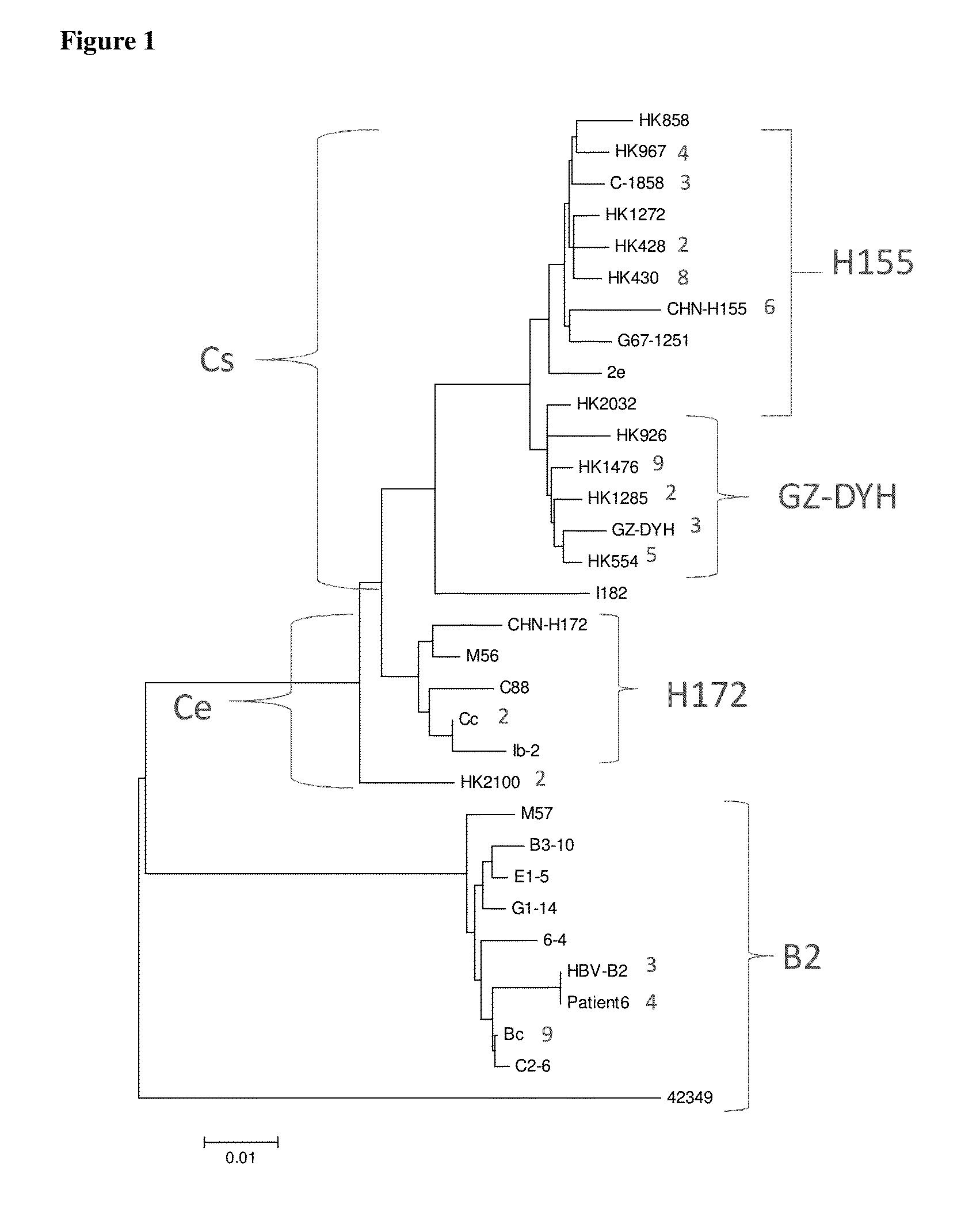 Effect of hbv on clinical outcome of hepatocellular carcinoma cancer patients