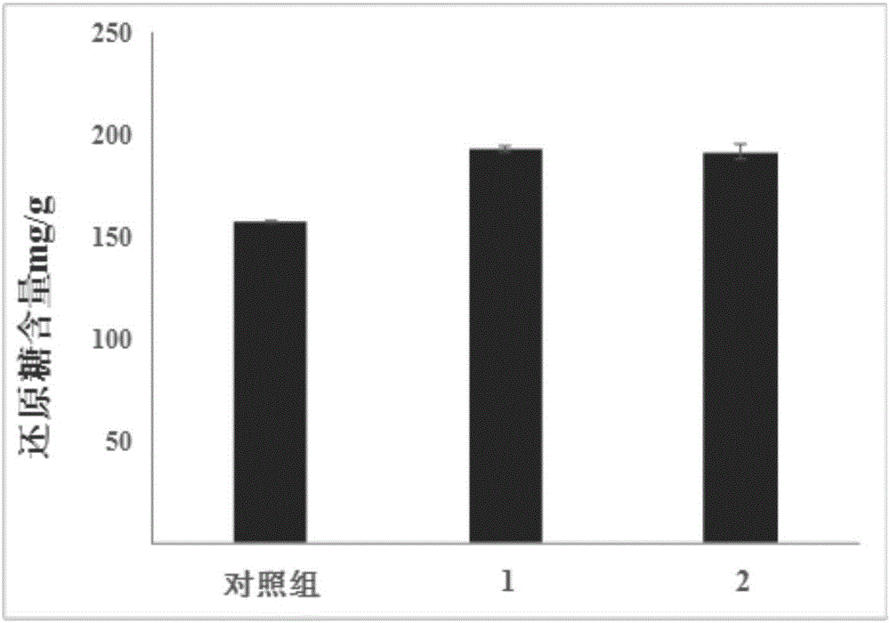 Enzymatic hydrolysis method of citrus pulp