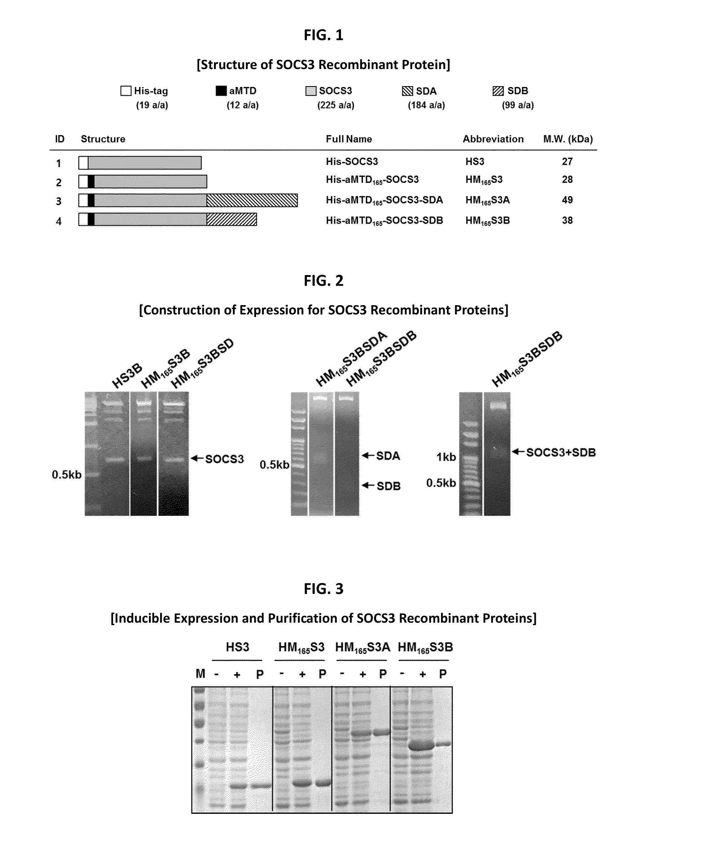 Development of a Protein-Based Biotherapeutic Agent That Penetrates Cell-Membrane and Induces Anti-Tumor Effect in Solid Tumors - Improved Cell-Permeable Suppressor of Cytokine Signaling (iCP-SOCS3) Proteins, Polynucleotides Encoding the Same, and Anti-Tumor Compositions Comprising the Same