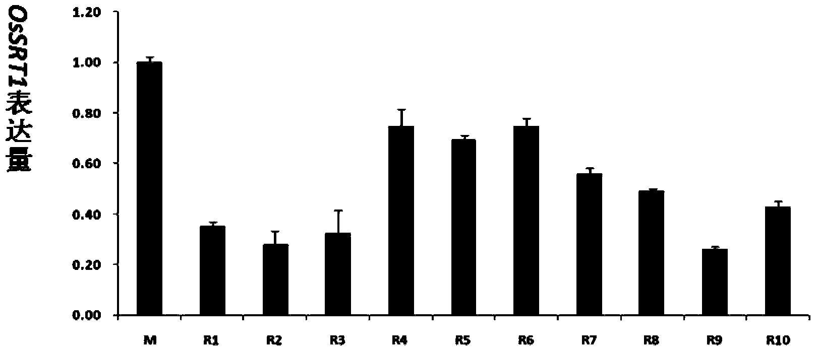 Application of histone deacetylase gene to regulation and control on development of rice seed starch