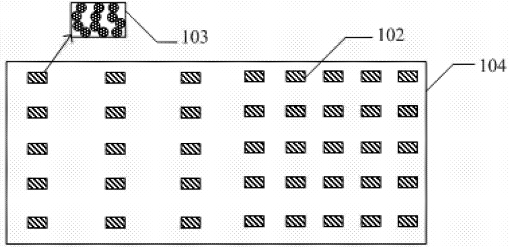 Light source module, liquid crystal display device and neon lamp display device