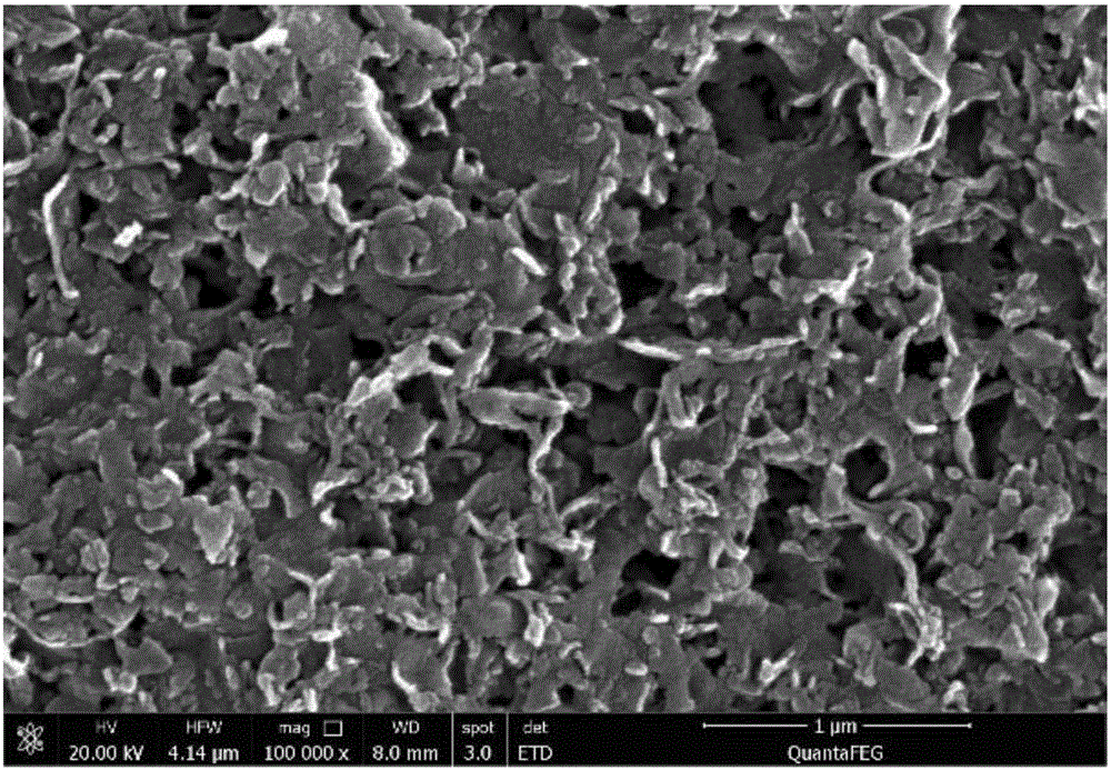 CoFe&lt;2&gt;O&lt;4&gt;/g-C&lt;3&gt;N&lt;4&gt; magnetic nanomaterial and preparation method therefor