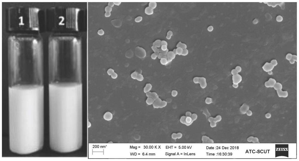 Composite nano-particle for resisting skin photoaging and preparation method of composite nano-particle