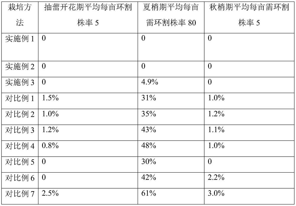 Citrus plant cell sap concentration regulation and control girdling-free cultivation method