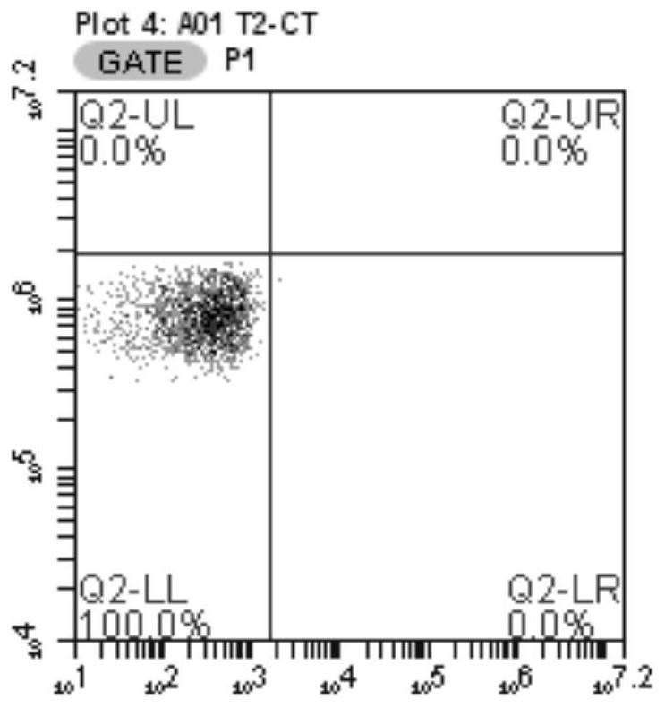 EGFR L858R neoantigen epitope peptide, and application thereof to tumor treatment