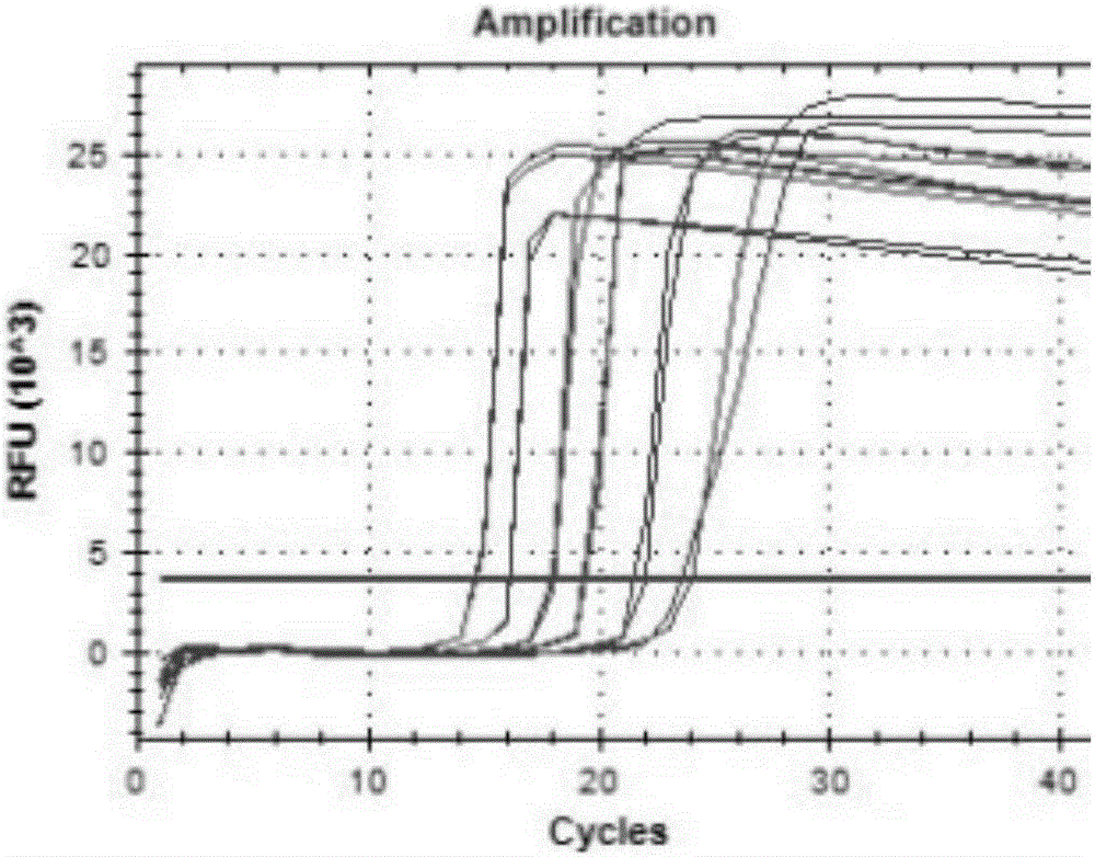 Prawn covert mortality nodavirus fluorescent quantitative RT-PCR detection method