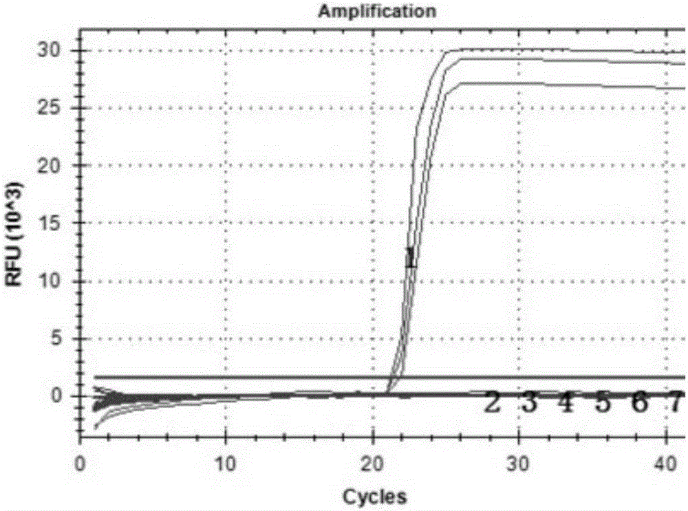 Prawn covert mortality nodavirus fluorescent quantitative RT-PCR detection method