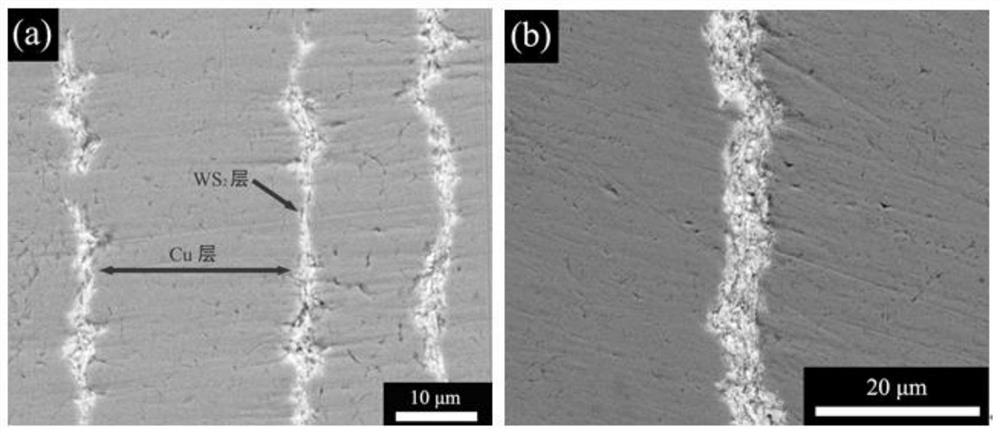 Copper-tungsten disulfide self-lubricating composite material with layered structure, preparation method and application