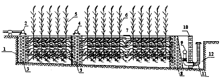 Fortified artificial wetlan sewage disposal method and system