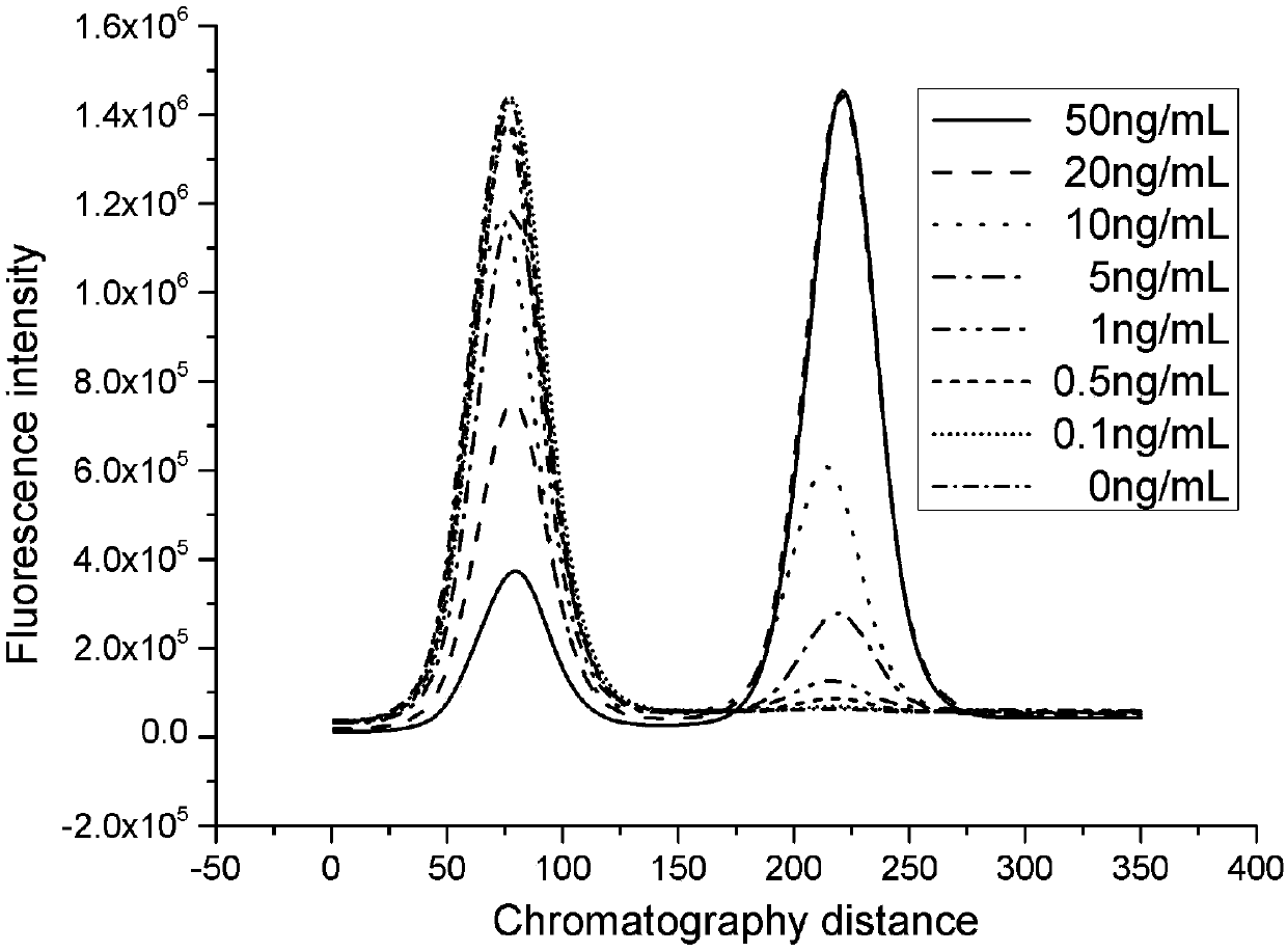 CK-MB fusion protein, preparation method thereof, and detection kit