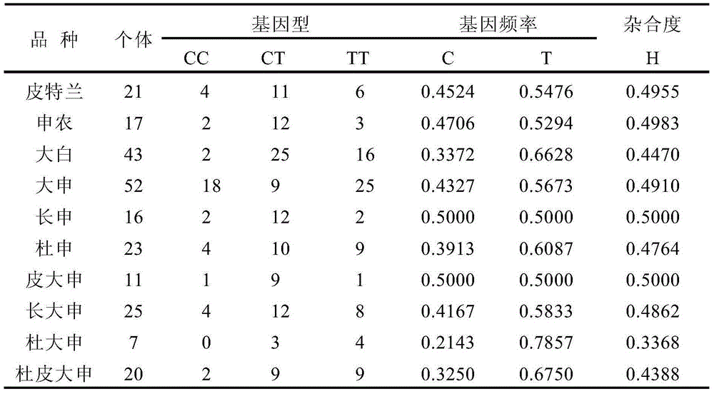 A traceable SNP molecular marker of porcine sncg gene and its detection method