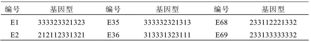 A traceable SNP molecular marker of porcine sncg gene and its detection method