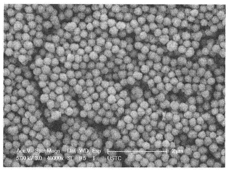 Method for preparing carbon-coated superparamagnetic ferroferric colloidal spheres