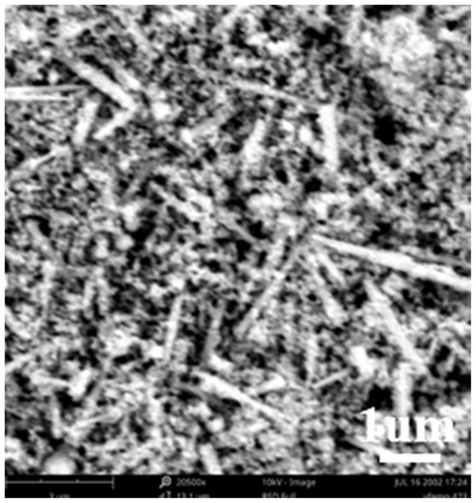 Low-temperature denitration catalyst as well as preparation method and application thereof