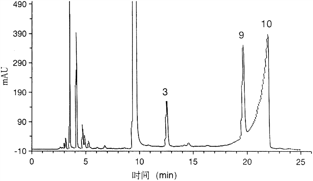 Composition and application of Podocarpus macrophyllus fruit polysaccharide