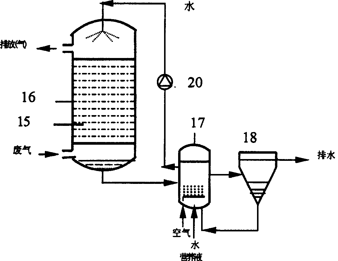 Waste gas treatment equipment for air film-biological reactor