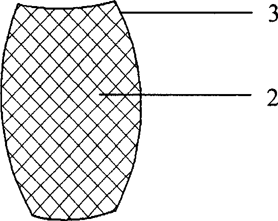 Sea grape egg adhesion reef with reticular soft structure