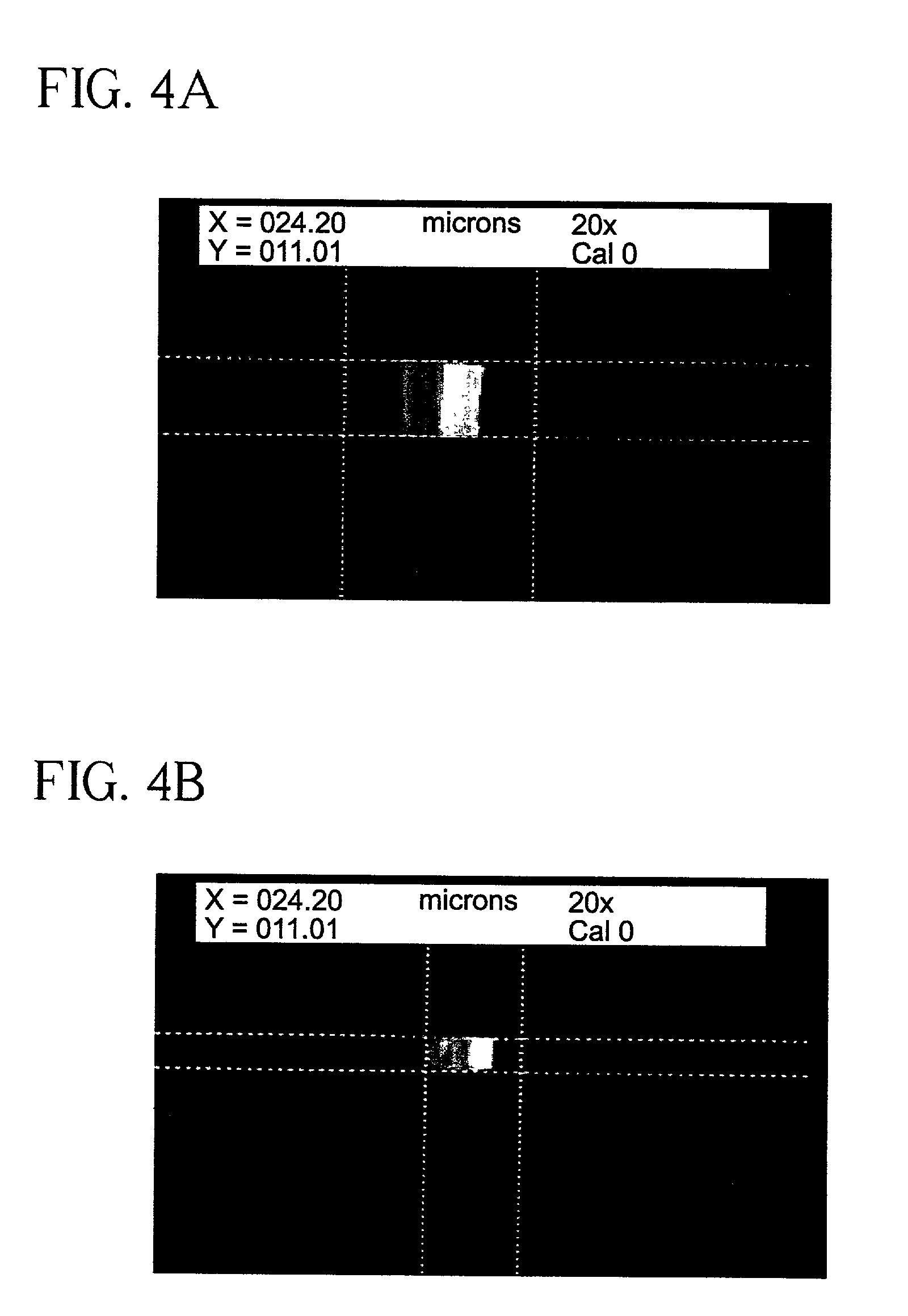 Detectable labels, methods of manufacture and use