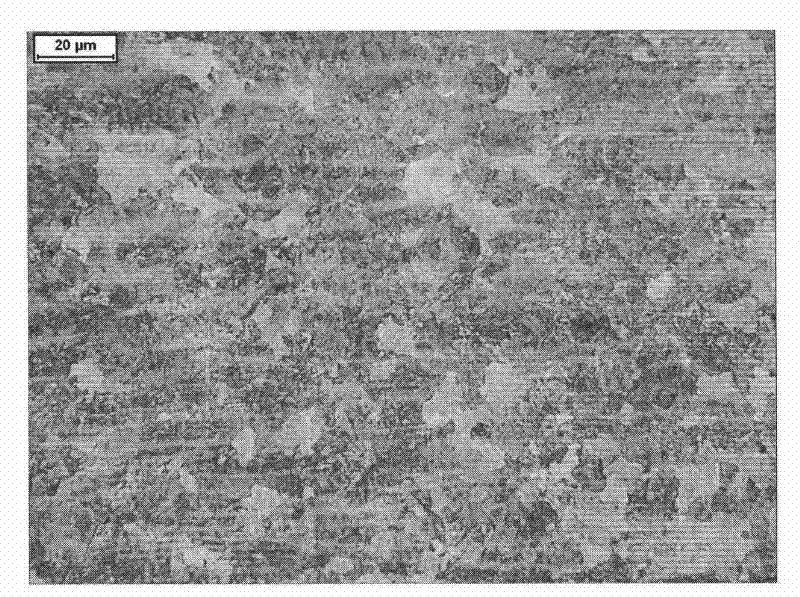 Method for producing 75Cr1 hot-rolled sheet steel