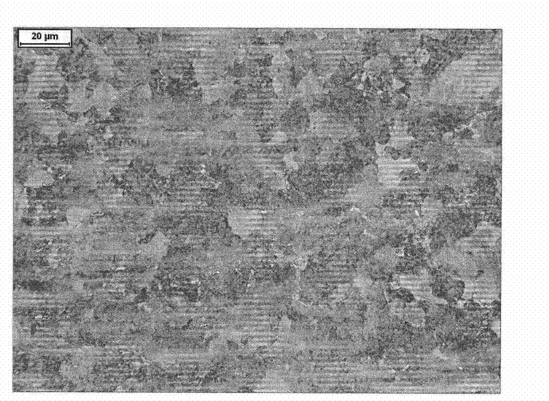 Method for producing 75Cr1 hot-rolled sheet steel