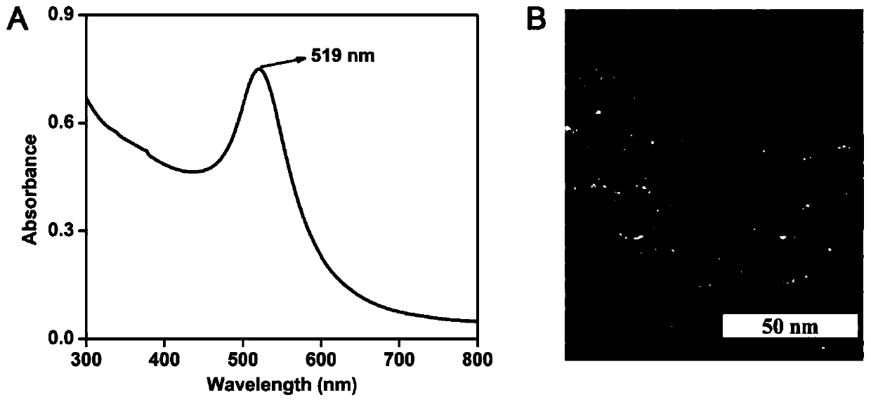 Endogenous enzyme-triggered DNA walker and its application for detecting UDG