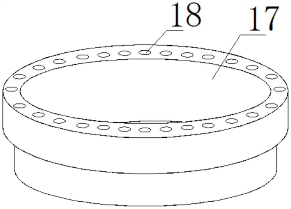 Visible bilateral-tube trachea cannula guide rod used for assisting in rescue