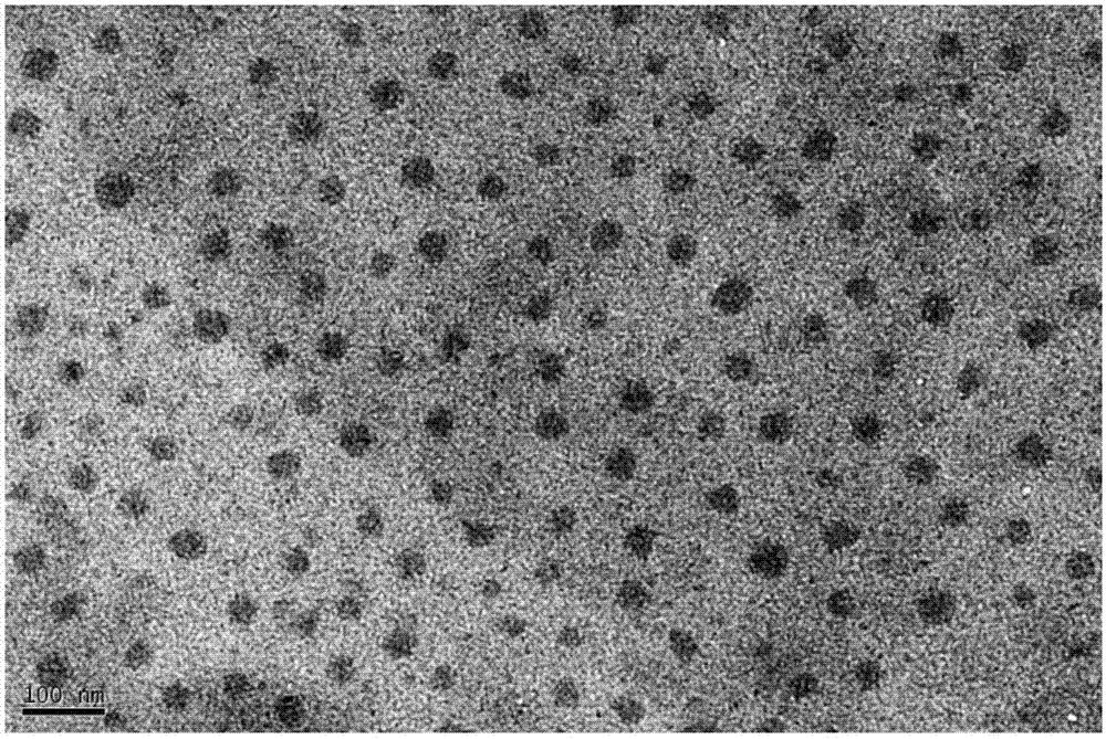 Double nanoparticle drug carrier system containing ApoG2 and AlpcS4 as well as preparation method and application of double nanoparticle drug carrier system