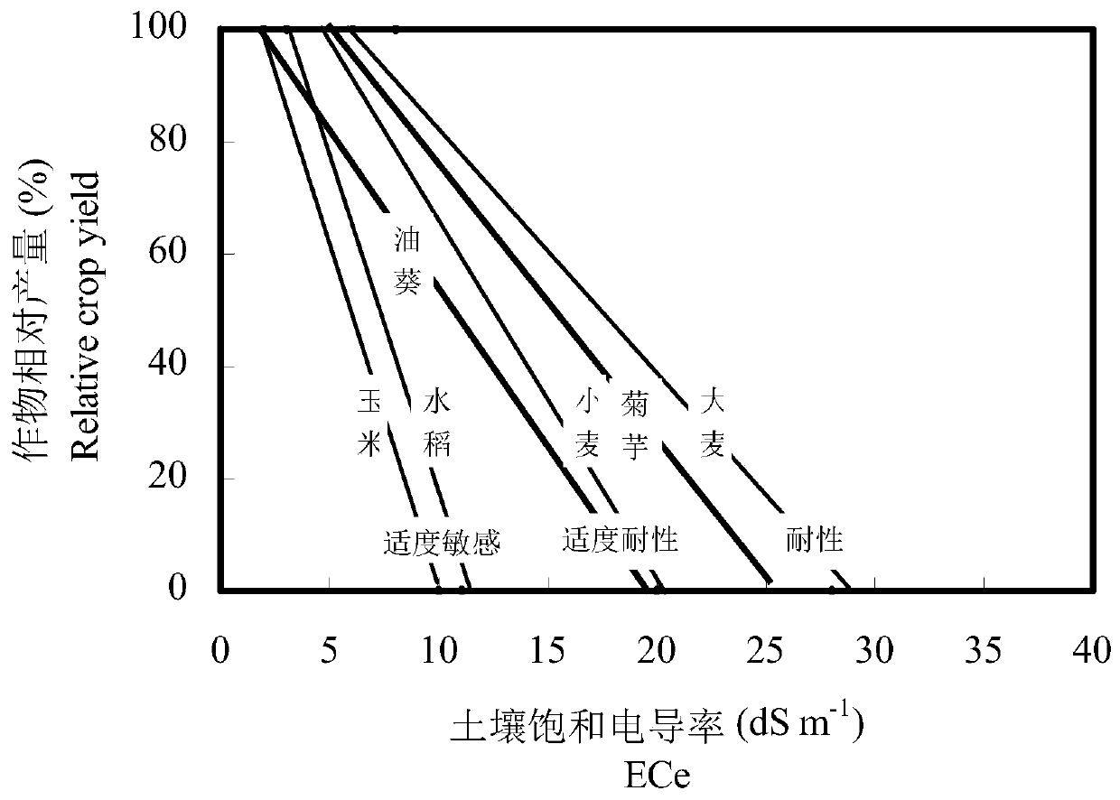 Introduction and salt-and-alkali-resistant cultivation method for jerusalem artichoke