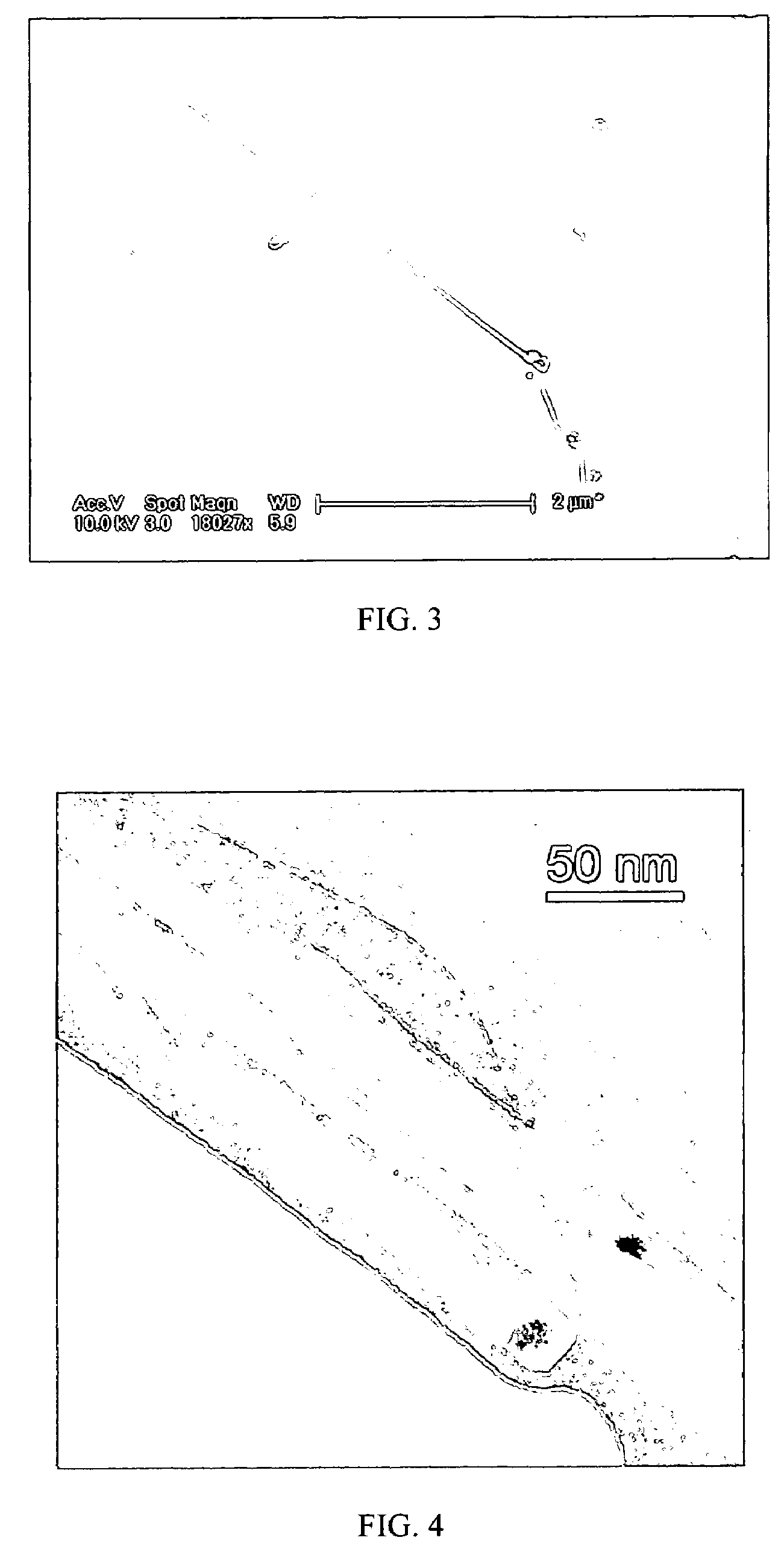 Method of synthesizing silicon wires