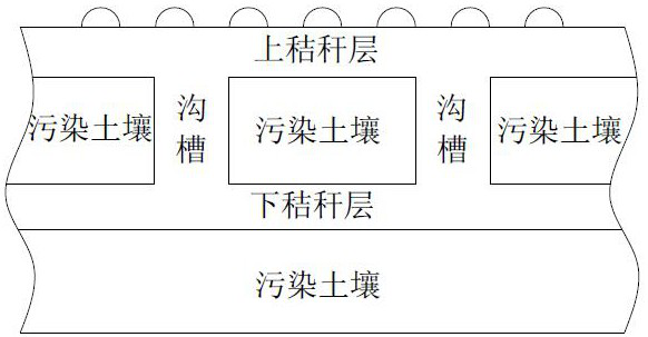 Combined remediation method of compound polluted soil with straw