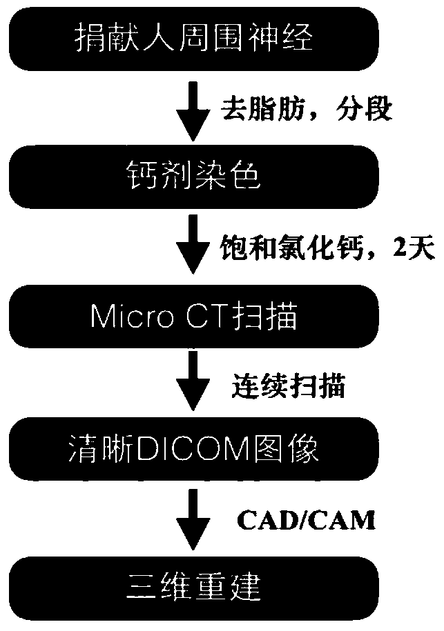 A method to enhance the clarity of micro CT scanning peripheral nerve images