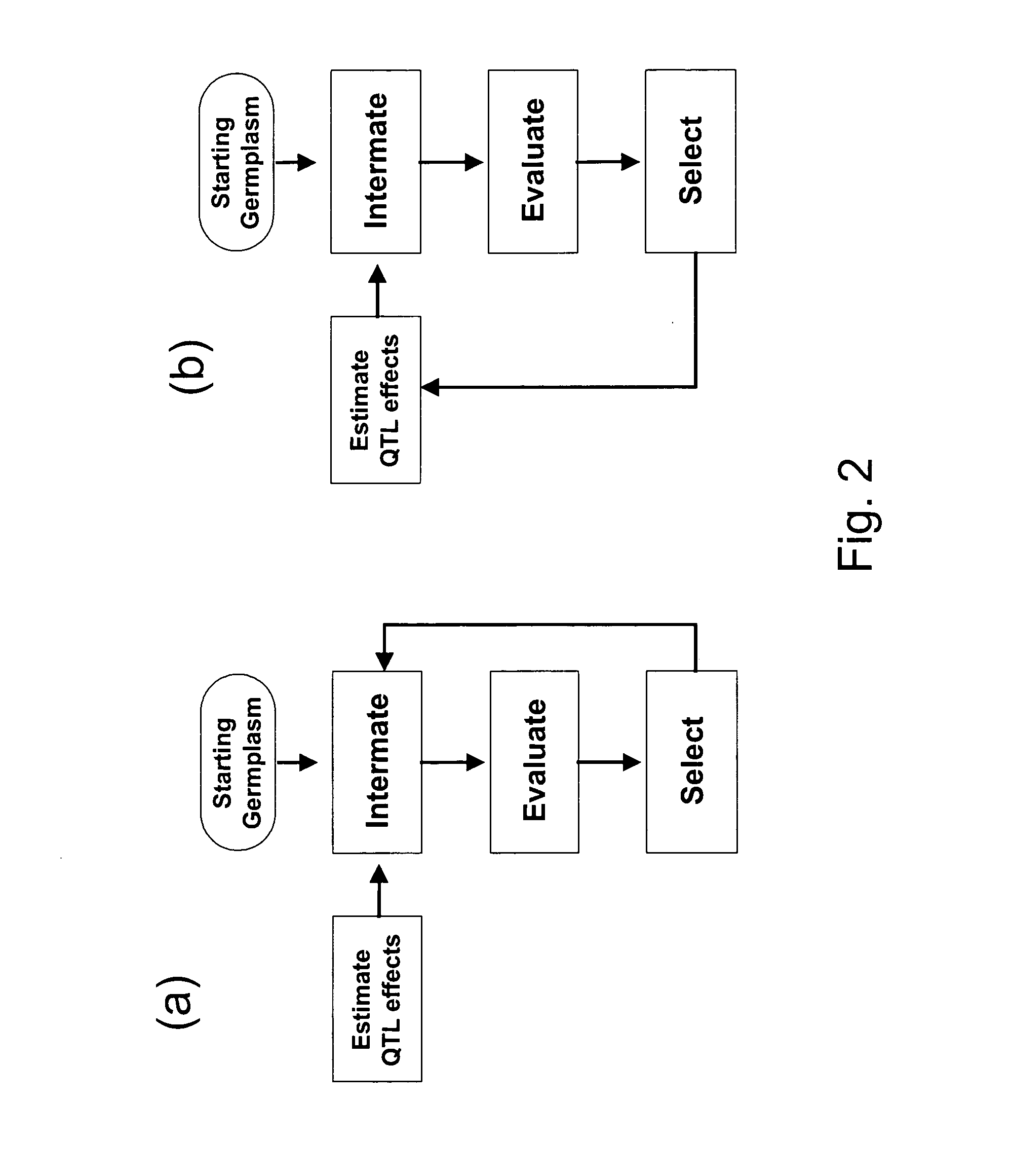 QTL "mapping as-you-go"