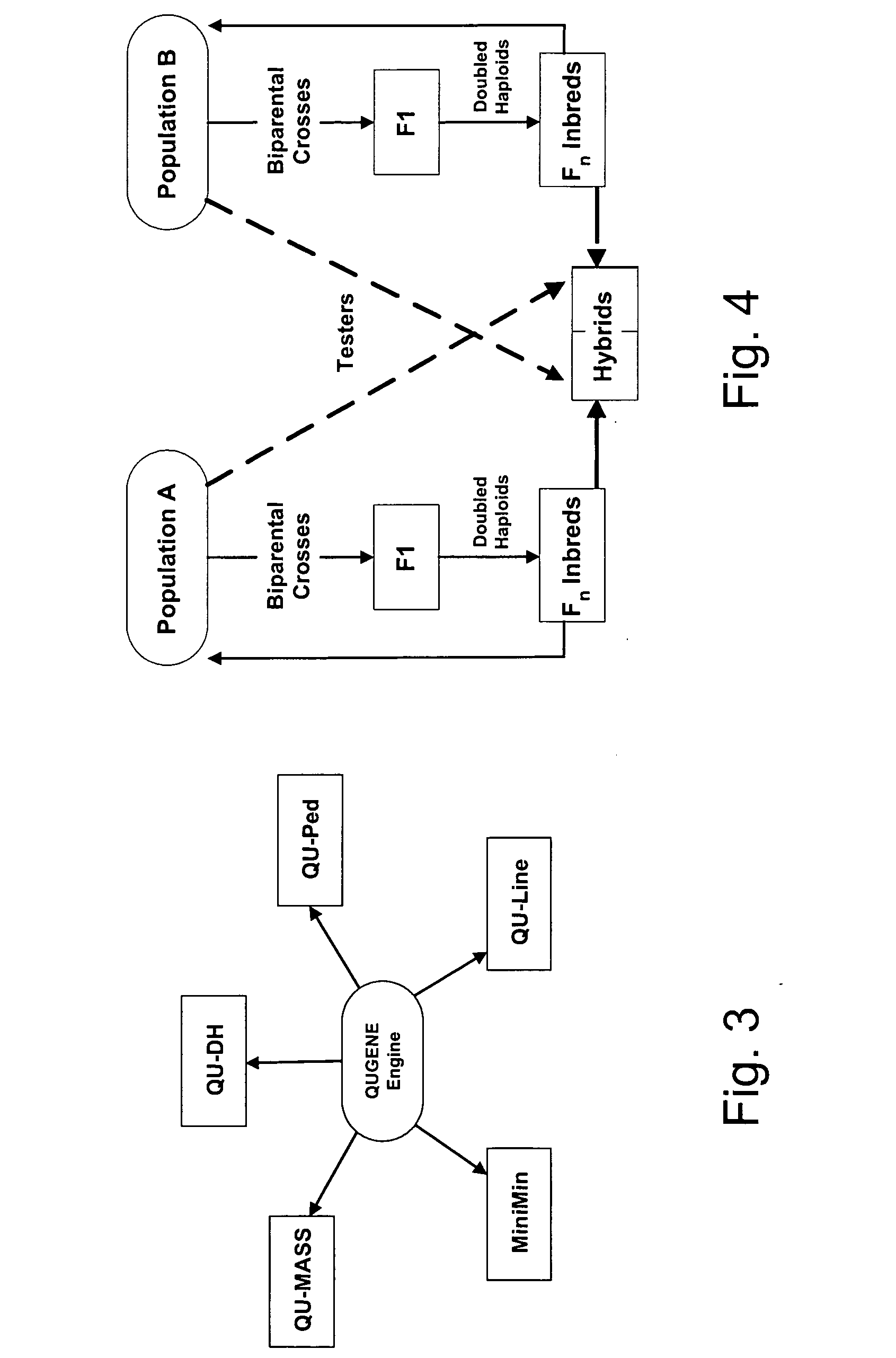 QTL "mapping as-you-go"