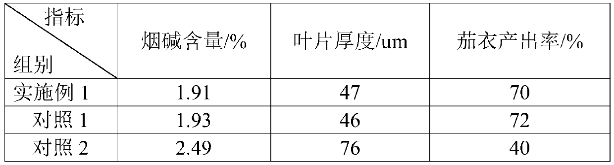 Cigar wrapper tobacco leaf and cigar filler tobacco leaf co-plant production type cigar tobacco cultivation method