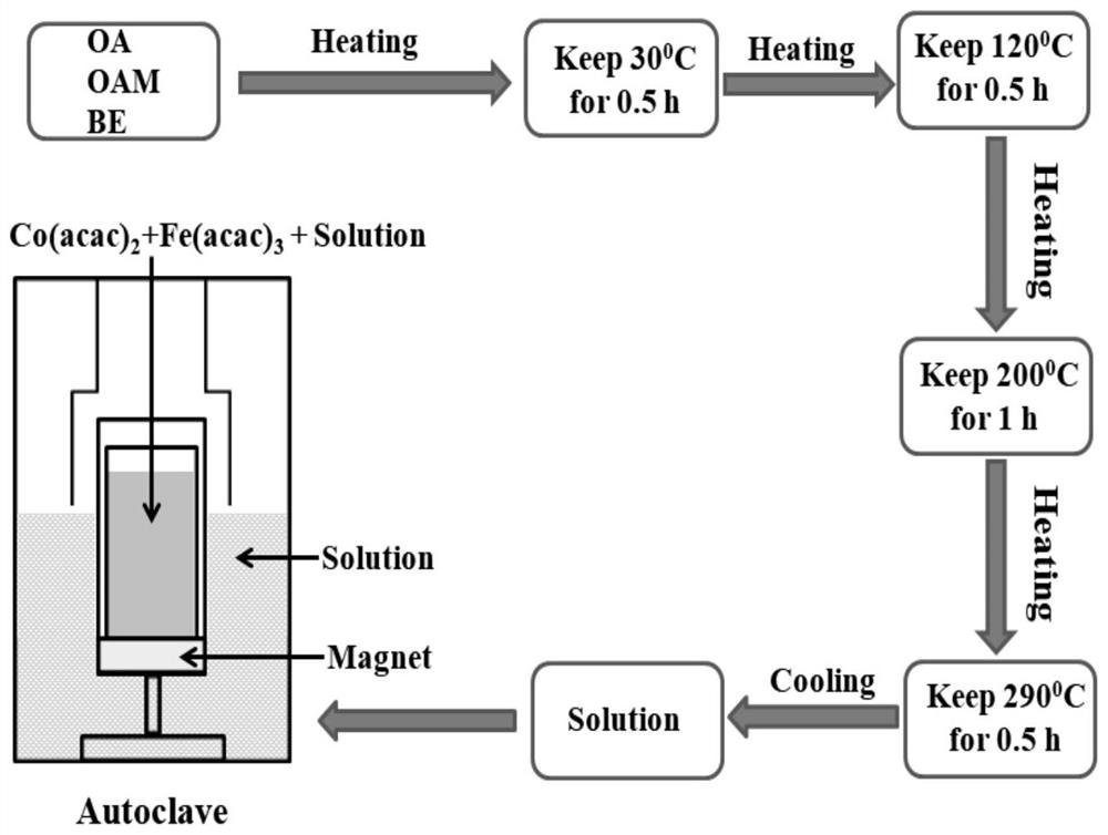 Method for magnetic field assisted solvothermal synthesis of ferrite and method for regulating and controlling magnetic grain size and morphological characteristics