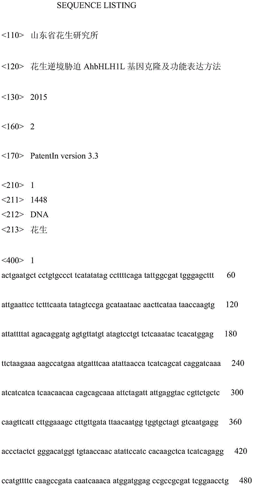 Method for cloning AhbHLH1L genes and expressing functions for peanuts under adversity stress