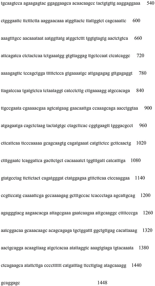 Method for cloning AhbHLH1L genes and expressing functions for peanuts under adversity stress