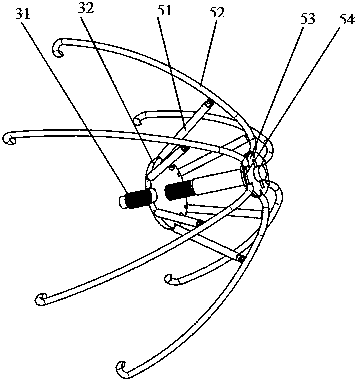 Pawl resetting type capsule endoscopy robot parking and pose adjusting device and method