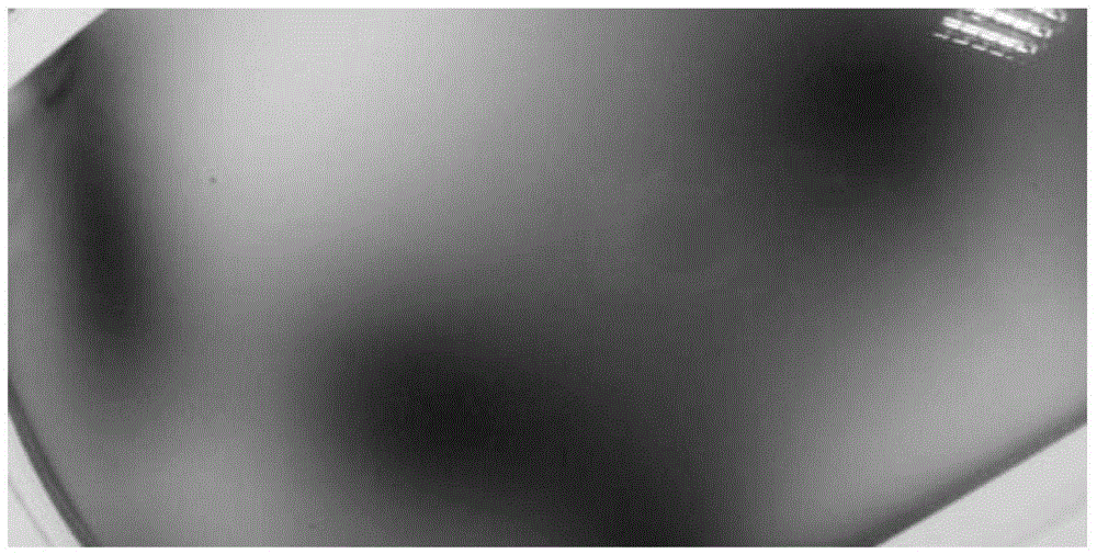 Manufacturing method of polarized lens and structure of the polarized lens