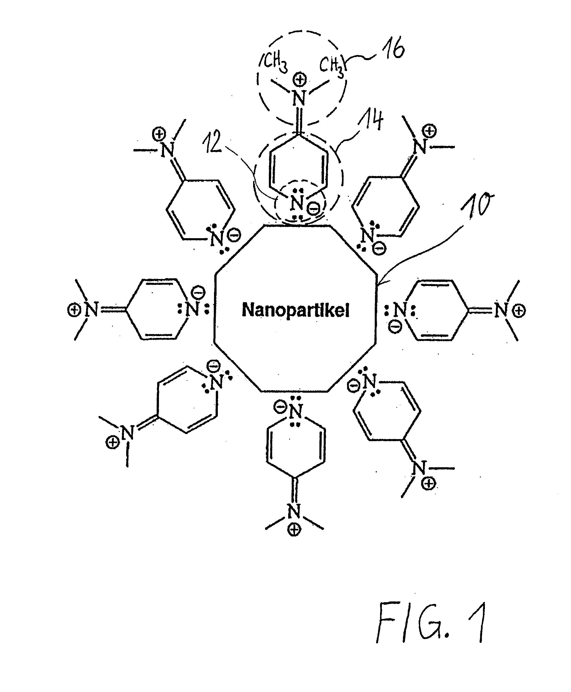 Phase transfer of nanoparticles