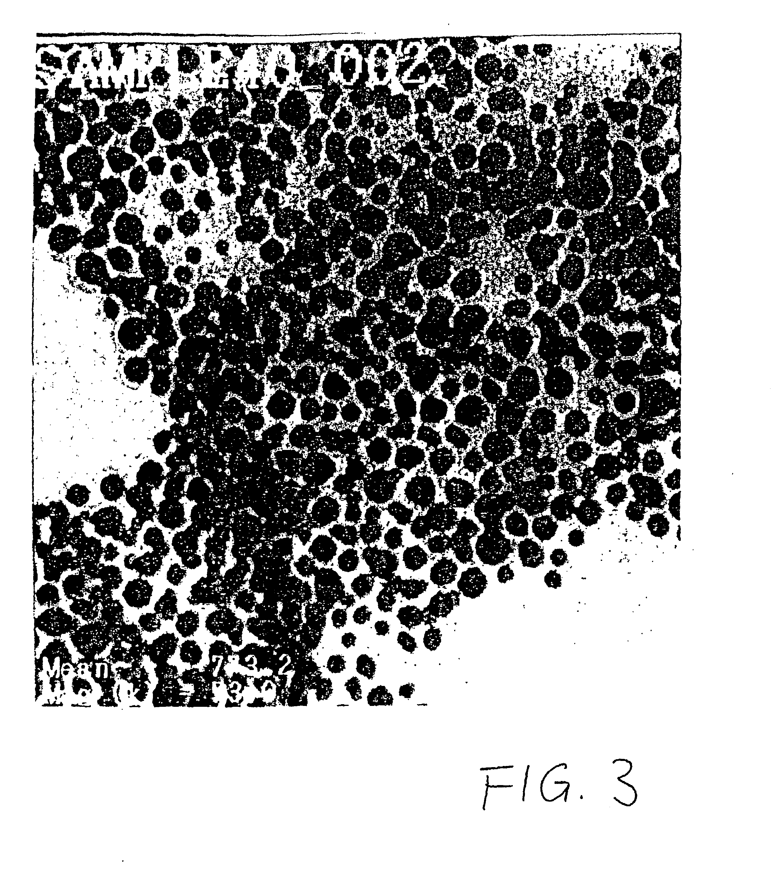 Phase transfer of nanoparticles