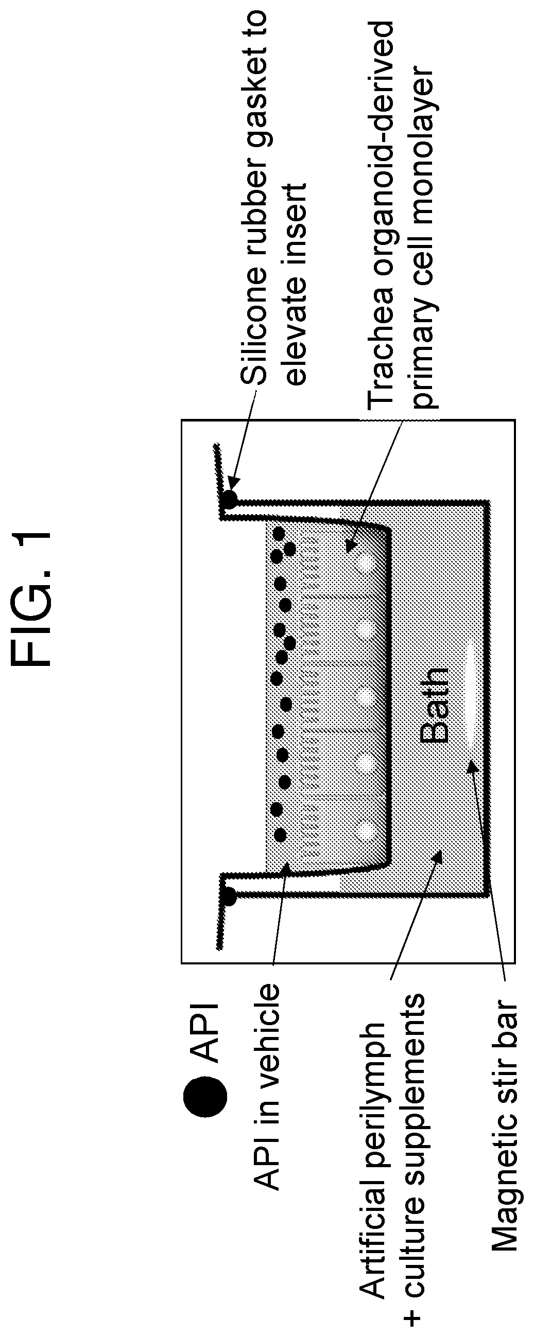 Compositions and methods for the delivery of therapeutic agents across the round window membrane